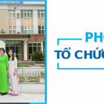 Phòng Tổ Chức Cán Bộ
