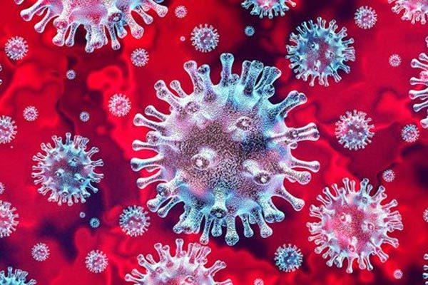 Việt Nam phát hiện thêm hai biến chủng SARS-CoV-2 mới, từ những ca bệnh nhập cảnh