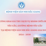Phê duyệt mức giá các dịch vụ khám, chữa bệnh theo yêu cầu tại Bệnh viện Sản Nhi Bắc Giang giai đoạn 2024 - 2030