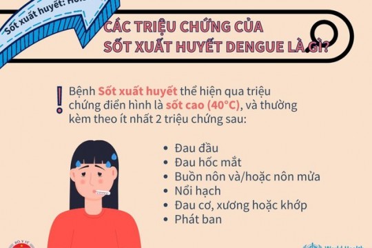 Hỏi - Đáp về bệnh Sốt xuất huyết Dengue do Bộ Y tế và Tổ chức Y tế Thế giới phối hợp thực hiện
