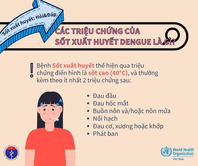 Hỏi - Đáp về bệnh Sốt xuất huyết Dengue do Bộ Y tế và Tổ chức Y tế Thế giới phối hợp thực hiện