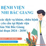 Danh mục các Dịch vụ khám, chữa bệnh theo yêu cầu tại Bệnh viện Sản Nhi Bắc Giang giai đoạn 2024 - 2030