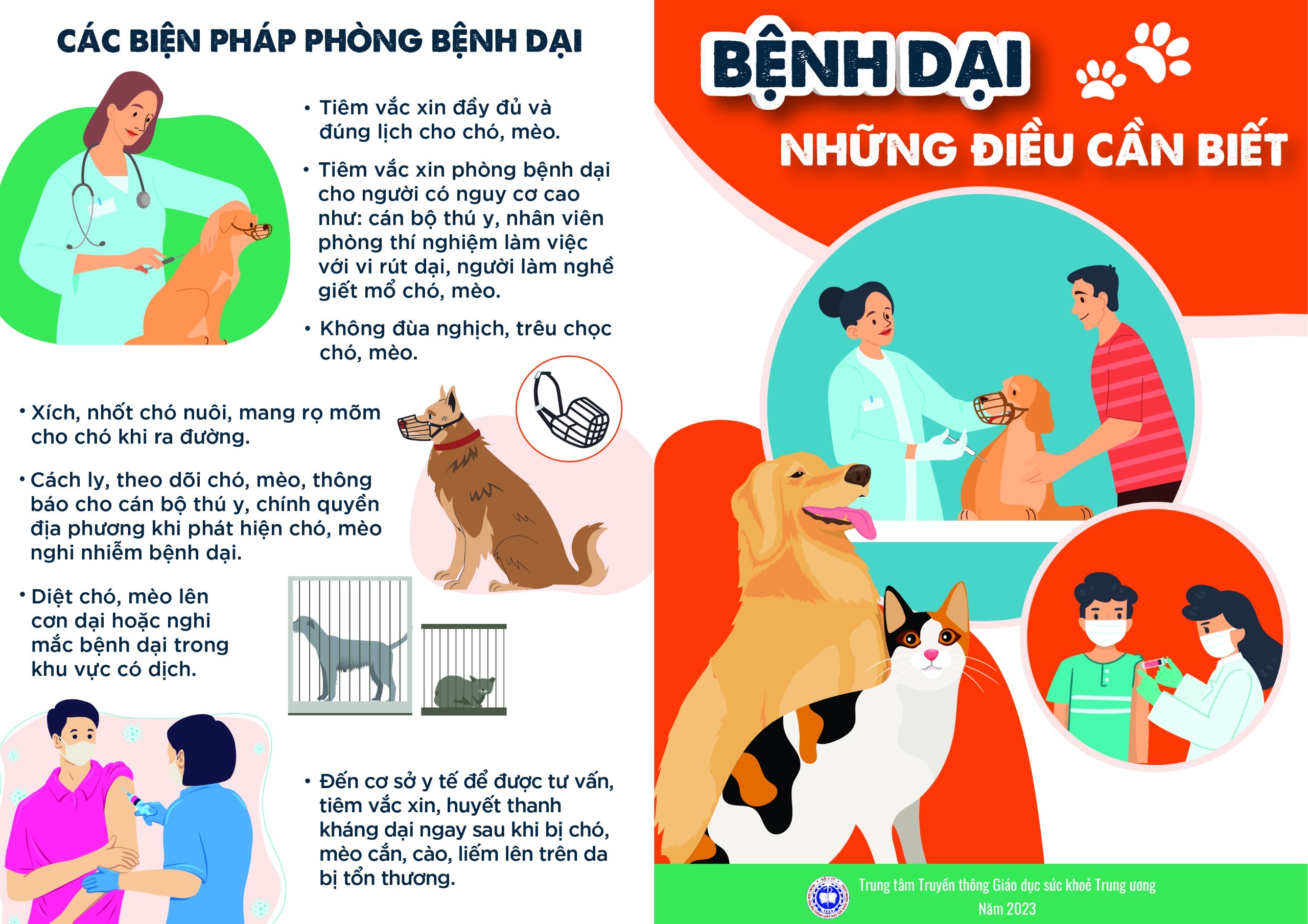 Các biện pháp phòng bệnh Dại