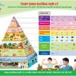 Tầm quan trọng của các vi chất dinh dưỡng với sự phát triển của trẻ