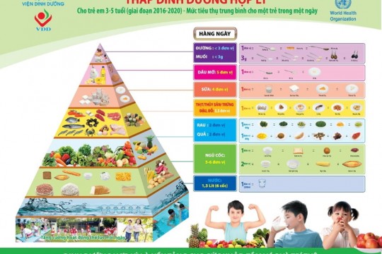 Tầm quan trọng của các vi chất dinh dưỡng với sự phát triển của trẻ