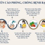Hỏi - Đáp: Những điều cần biết về Bệnh bại liệt