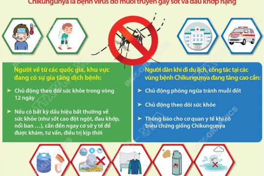 Bộ Y tế khuyến cáo các biện pháp phòng, chống dịch bệnh Chikungunya
