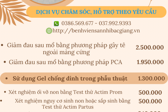 Một số Dịch vụ chăm sóc, hỗ trợ theo yêu cầu tại Bệnh viện Sản Nhi Bắc Giang