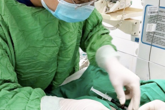 Khoa Sơ sinh - Bệnh viện Sản Nhi Bắc Giang triển khai thành công kỹ thuật đặt Longline nuôi dưỡng trẻ sơ sinh non tháng