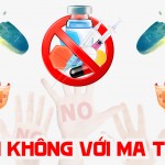 Chung tay phòng, chống ma túy: Bảo vệ sức khỏe, giữ gìn hạnh phúc gia đình và sự bình yên của cộng đồng