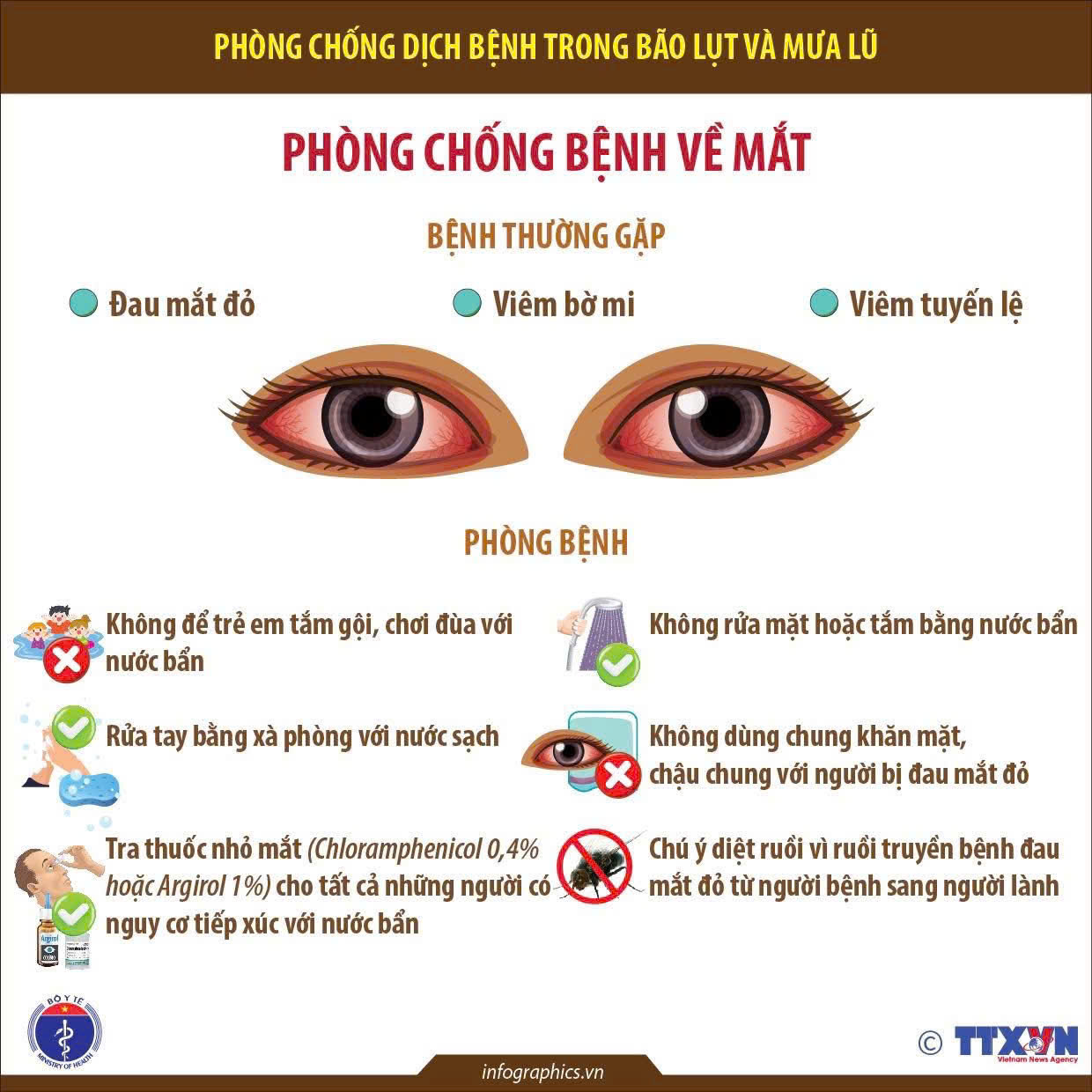 phòng bão lũ 8