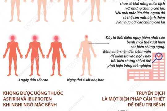 Những điều cần biết về sốt xuất huyết và Khuyến cáo phòng, chống sốt xuất huyết