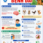 Bệnh viện Sản - Nhi Bắc Ninh số 1 khuyến cáo phòng, chống bệnh Dại