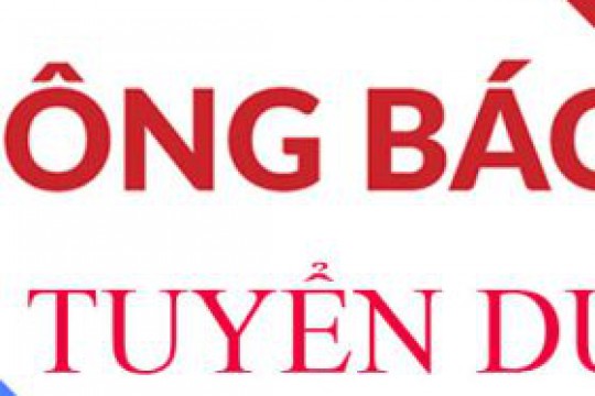 Thông báo Tuyển dụng Lao động hợp đồng bổ sung năm 2022